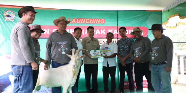 Panen “Cempe”, Jateng Sokong Kebutuhan Daging Nasional