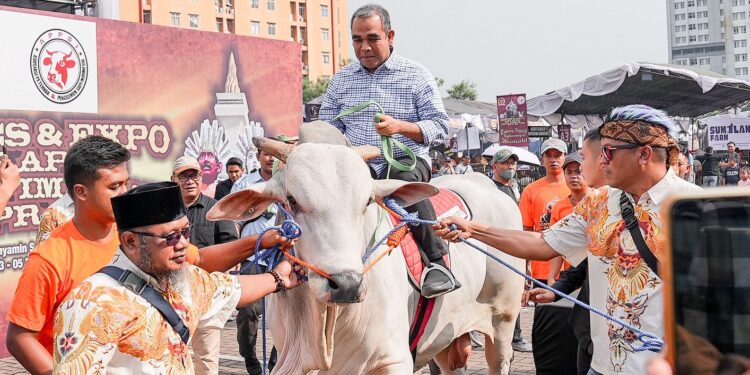 Muzani Hadiri Kontes Sapi APPSI, Singgung Program Makan Siang Gratis Prabowo-Gibran