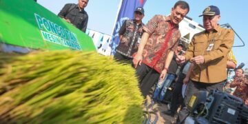 Produksi Padi Jateng Capai 6,69 Juta Ton, Pemprov Optimistis Target 10,5 Juta Ton Tercapai