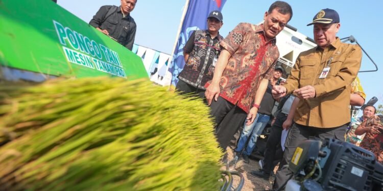 Produksi Padi Jateng Capai 6,69 Juta Ton, Pemprov Optimistis Target 10,5 Juta Ton Tercapai